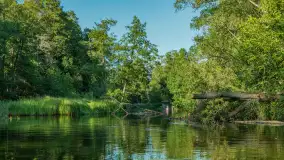 Popołudniowy spływ na Krutyni, sierpień 2025 r. - zdjęcie 40