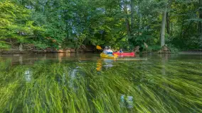 Popołudniowy spływ na Krutyni, sierpień 2025 r. - zdjęcie 31