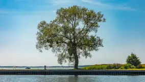 Mazurski szlak z wody, sierpień 2025 r., cz. I - zdjęcie 8