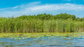 Mazurski szlak z wody, sierpień 2025 r., cz. III - zdjęcie 25