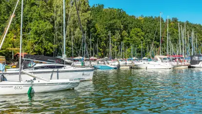 Nasza porty partnerskie - Pod Dębem, jezioro Nidzkie, sierpień 2025 r.