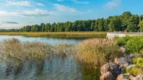 Jezioro Mamry w okolicach Węgorapy, sierpień 2025 r. - zdjęcie 25