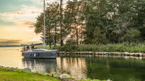 Jezioro Mamry w okolicach Węgorapy, sierpień 2025 r. - zdjęcie 12