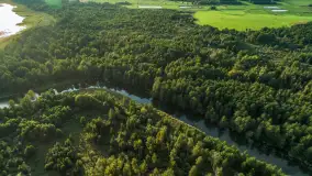 Mamry, Węgorapa i Węgorzewo w tle z drona, sierpień 2025 r. - zdjęcie 28