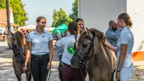 Fotorelacja - 70 lat konika polskiego w Popielnie – jubileuszowe spotkanie - zdjęcie 40