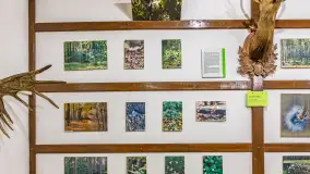 Fotorelacja - 70 lat konika polskiego w Popielnie – jubileuszowe spotkanie - zdjęcie 78