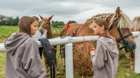 Sulimiada 2025 – przegląd źrebiąt i rodzinny piknik w Sulimach - zdjęcie 20