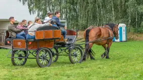 Sulimiada 2025 – przegląd źrebiąt i rodzinny piknik w Sulimach - zdjęcie 70