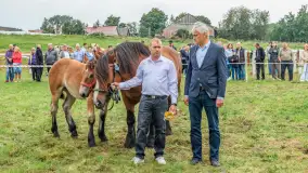 Sulimiada 2025 – przegląd źrebiąt i rodzinny piknik w Sulimach - zdjęcie 100