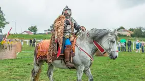 Sulimiada 2025 – przegląd źrebiąt i rodzinny piknik w Sulimach - zdjęcie 114
