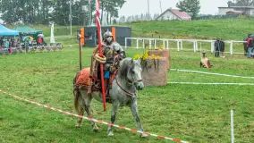 Sulimiada 2025 – przegląd źrebiąt i rodzinny piknik w Sulimach - zdjęcie 125