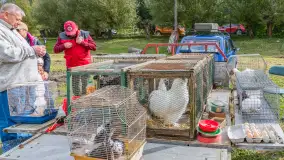 Fotorelacja z IV Redyku Mazurskiego, 04 października 2025 r. - zdjęcie 61