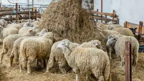 Fotorelacja z IV Redyku Mazurskiego, 04 października 2025 r. - zdjęcie 27