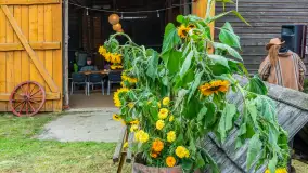 Fotorelacja z IV Redyku Mazurskiego, 04 października 2025 r. - zdjęcie 25