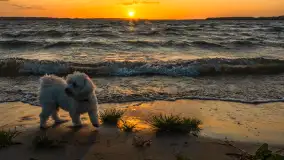 Czerwcowy zachód słońca w Pierkunowie, jezioro Kisajno - zdjęcie 11