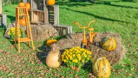 Dyniowy Port w Ogonkach, odkryj barwy jesieni na Mazurach - zdjęcie 14