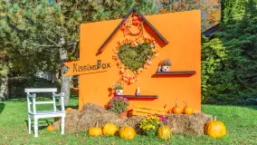 Dyniowy Port w Ogonkach, odkryj barwy jesieni na Mazurach - zdjęcie 3