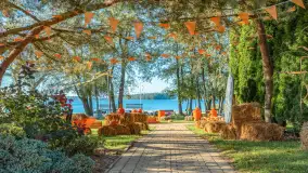 Dyniowy Port w Ogonkach, odkryj barwy jesieni na Mazurach - zdjęcie 7