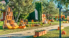 Dyniowy Port w Ogonkach, odkryj barwy jesieni na Mazurach - zdjęcie 40