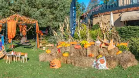 Dyniowy Port w Ogonkach, odkryj barwy jesieni na Mazurach - zdjęcie 36