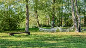 Jesienna wersja Ognistego Ptaka w Ogonkach, październik 2025 r. - zdjęcie 18