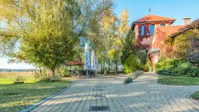 Jesienna wersja Ognistego Ptaka w Ogonkach, październik 2025 r. - zdjęcie 10