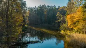 Jezioro Krutyńskie i Krutynia w jesiennej odsłonie, październik 2025 r. - zdjęcie 28