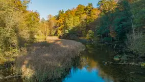 Jezioro Krutyńskie i Krutynia w jesiennej odsłonie, październik 2025 r. - zdjęcie 33