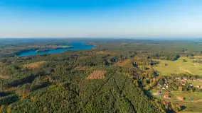 Jezioro Wesołek i puszcza Piska z drona, jesień 2025 r. - zdjęcie 26