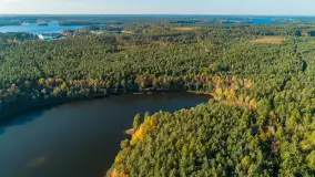 Jezioro Wesołek i puszcza Piska z drona, jesień 2025 r. - zdjęcie 6