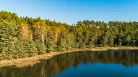 Jezioro Wesołek i puszcza Piska z drona, jesień 2025 r. - zdjęcie 32