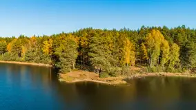 Jezioro Wesołek i puszcza Piska z drona, jesień 2025 r. - zdjęcie 10