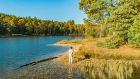 Jezioro Wesołek i puszcza Piska z drona, jesień 2025 r. - zdjęcie 2