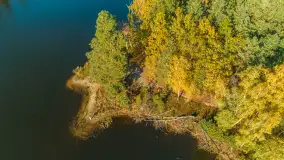 Jezioro Wesołek i puszcza Piska z drona, jesień 2025 r. - zdjęcie 27