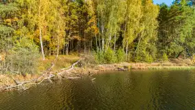 Jezioro Wesołek i puszcza Piska z drona, jesień 2025 r. - zdjęcie 19