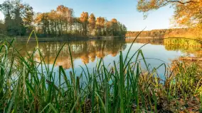 Jesień w Rezerwacie Przyrody Krutynia, październik 2025 r. - zdjęcie 42