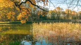 Jesień w Rezerwacie Przyrody Krutynia, październik 2025 r. - zdjęcie 1