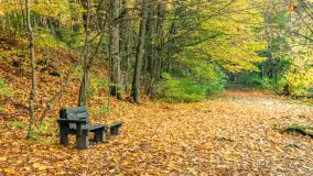 Jesień w Rezerwacie Przyrody Krutynia, październik 2025 r. - zdjęcie 14