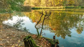 Jesień w Rezerwacie Przyrody Krutynia, październik 2025 r. - zdjęcie 18