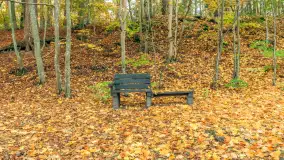 Jesień w Rezerwacie Przyrody Krutynia, październik 2025 r. - zdjęcie 17