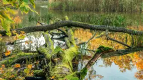 Jesień w Rezerwacie Przyrody Krutynia, październik 2025 r. - zdjęcie 7