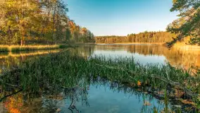 Jesień w Rezerwacie Przyrody Krutynia, październik 2025 r. - zdjęcie 9