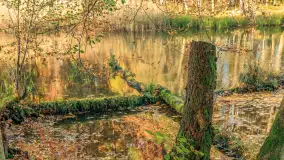 Jesień w Rezerwacie Przyrody Krutynia, październik 2025 r. - zdjęcie 22