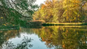 Jesień w Rezerwacie Przyrody Krutynia, październik 2025 r. - zdjęcie 53