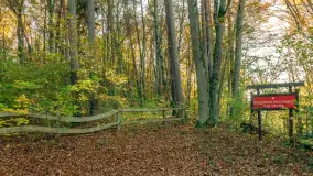 Jesień w Rezerwacie Przyrody Krutynia, październik 2025 r. - zdjęcie 39