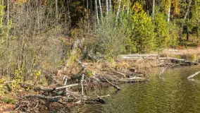 Mazurska jesień nad jeziorem Wesołek, październik 2025 r. - zdjęcie 23