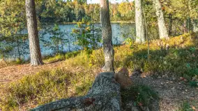 Mazurska jesień nad jeziorem Wesołek, październik 2025 r. - zdjęcie 30