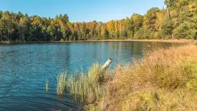 Mazurska jesień nad jeziorem Wesołek, październik 2025 r. - zdjęcie 26