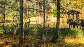 Spacer po Lesie Miejskim w Giżycku, listopad 2025 r. - zdjęcie 36