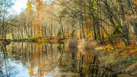 Spacer po Lesie Miejskim w Giżycku, listopad 2025 r. - zdjęcie 22